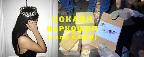 шишки Бронницы