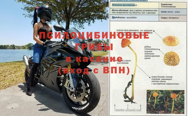 стаф Бугульма