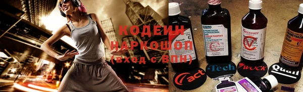 шишки Бронницы