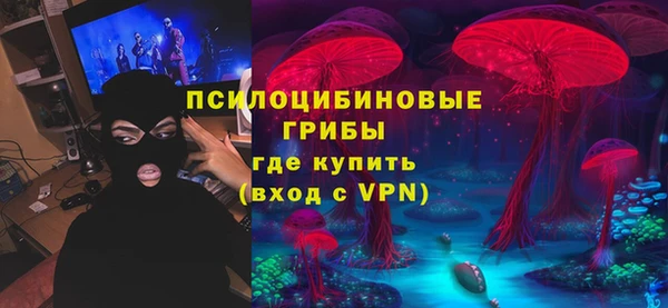 мдпв Верея