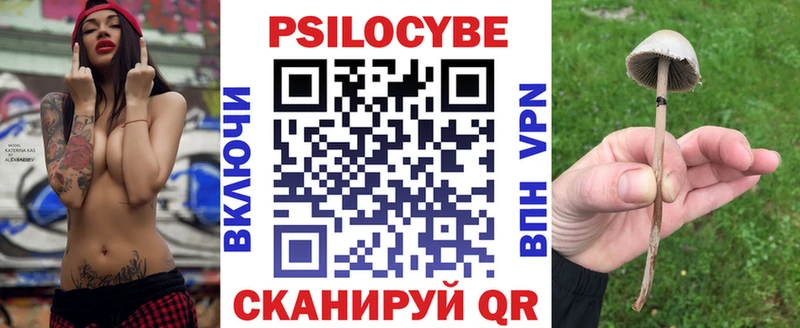 Купить  Дудинка  Псилоцибиновые грибы GOLDEN TEACHER 